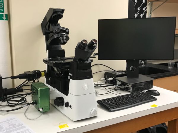 LIFA Toggel FLIM Microscope System